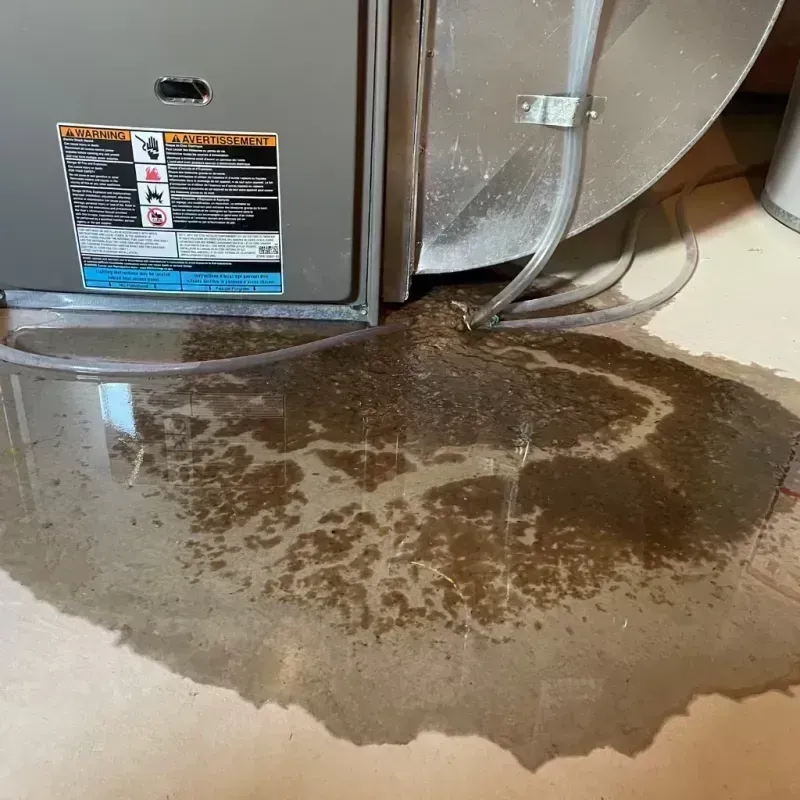 Appliance Leak Cleanup in Colfax, IL